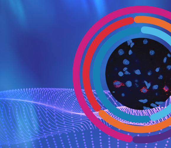 WORLD<i>Symposium</i> 2026 Sponsorship Opportunities